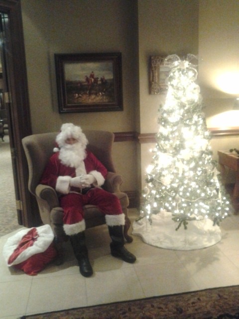Santa by Christmas Tree