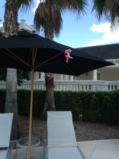 Pick up a Pink Flamingo to signal for service.