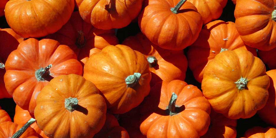 Fun uses for pumpkins