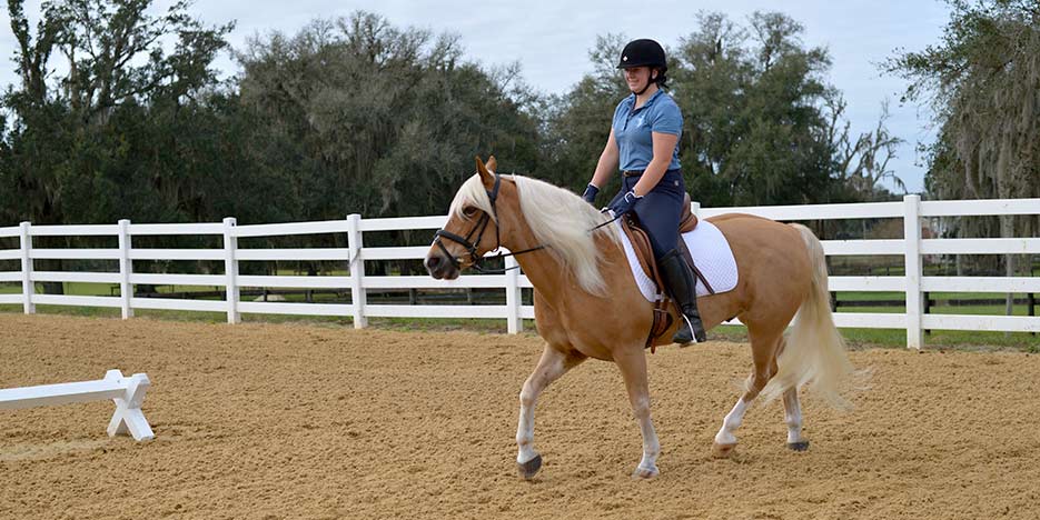 riding lessons at golden ocala