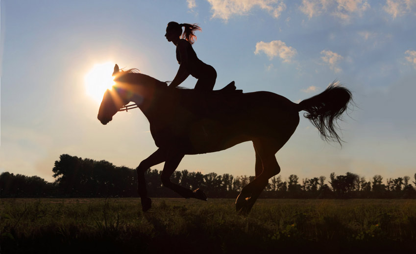 Horseback riding outdoors.