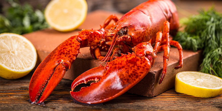 Join Us For Lobster Night at Golden Ocala | Blog