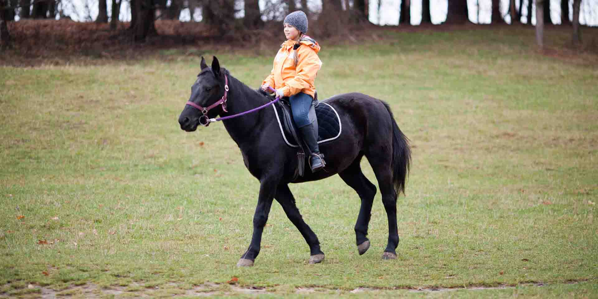 Girl riding a horse.