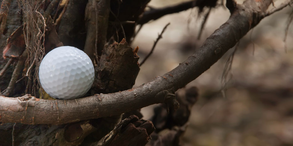 Golf ball stuck in tree. What to do?